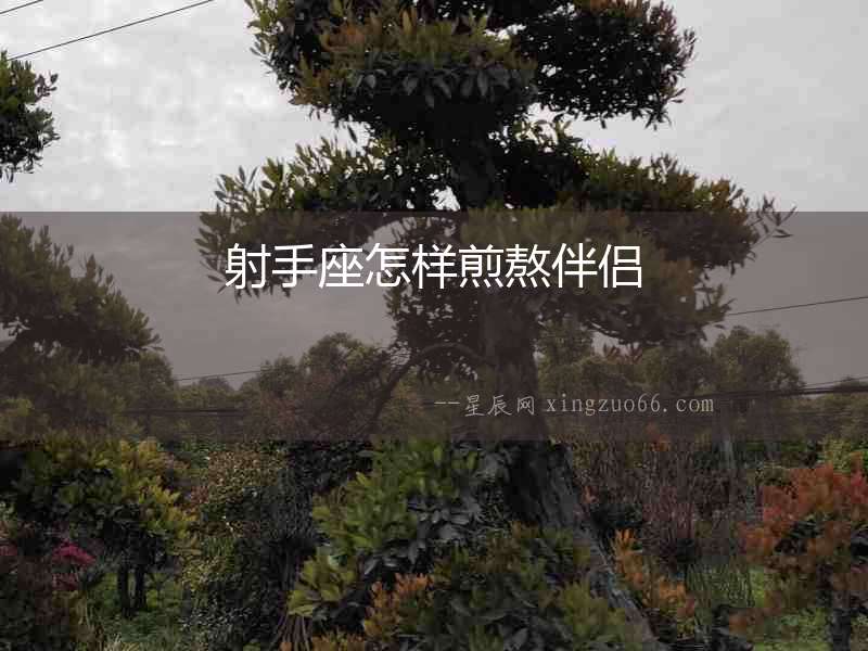 射手座怎樣煎熬伴侶