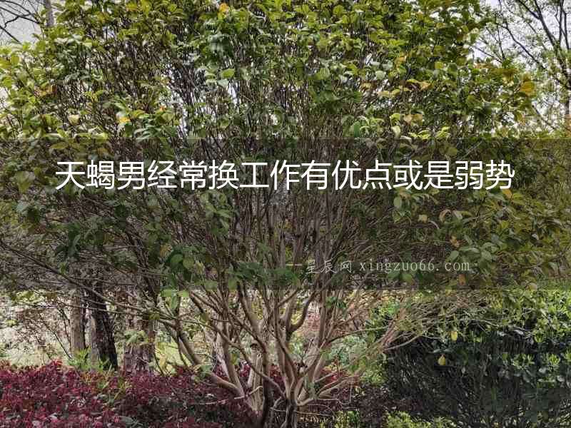 天蝎男經常換工作有優點或是弱勢