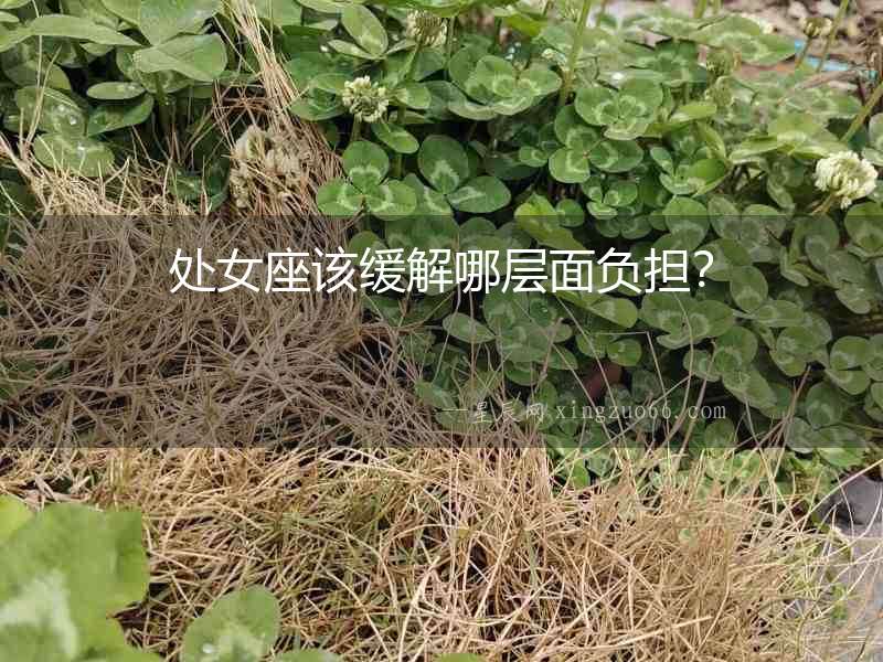 處女座該緩解哪層面負擔？