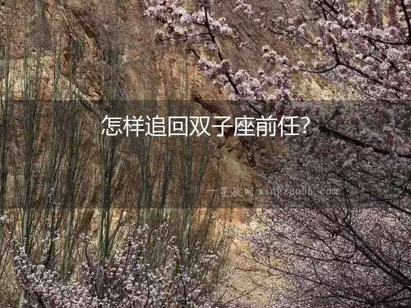 怎樣追回雙子座前任？
