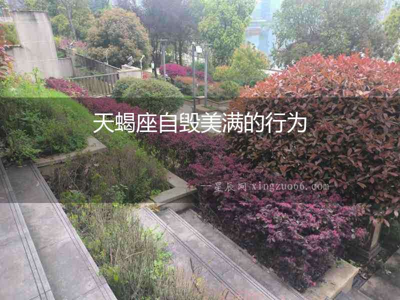 天蝎座自毀美滿的行為