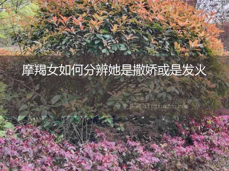 摩羯女如何分辨她是撒嬌或是發(fā)火