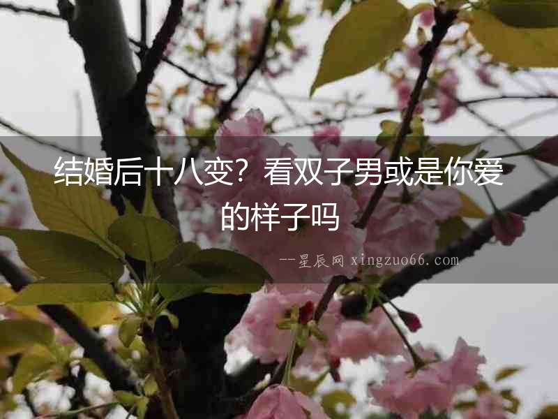 結婚后十八變？看雙子男或是你愛的樣子嗎
