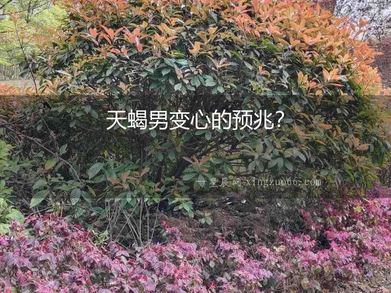 天蝎男變心的預(yù)兆？