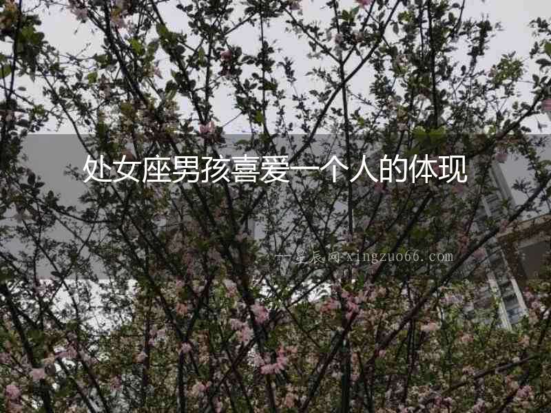 處女座男孩喜愛一個人的體現