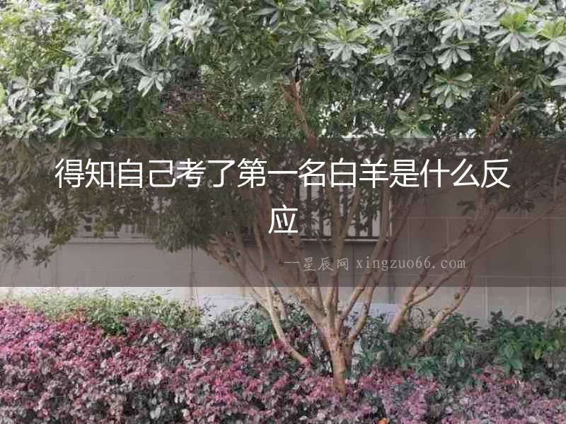 得知自己考了第一名白羊是什么反應