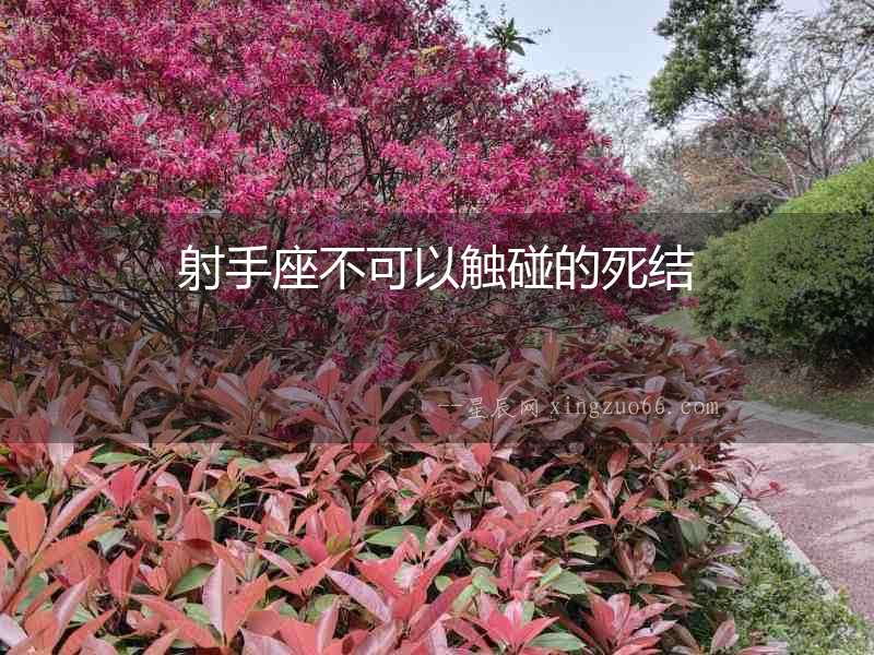射手座不可以觸碰的死結(jié)