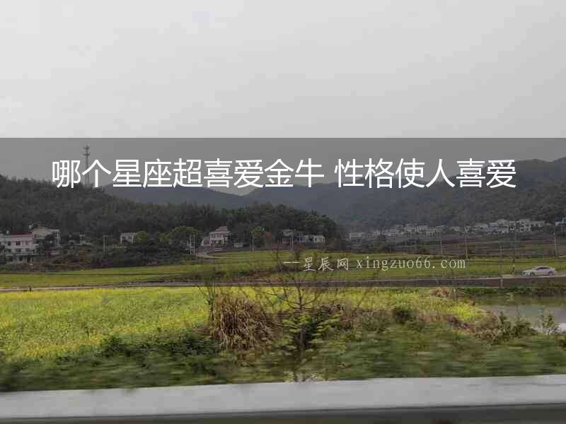 哪個星座超喜愛金牛 性格使人喜愛