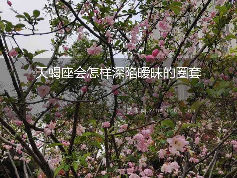 天蝎座會怎樣深陷曖昧的圈套