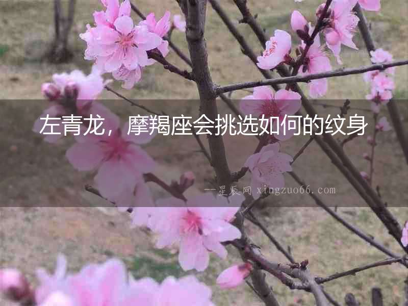 左青龍，摩羯座會挑選如何的紋身