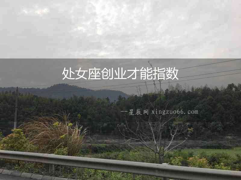 處女座創業才能指數