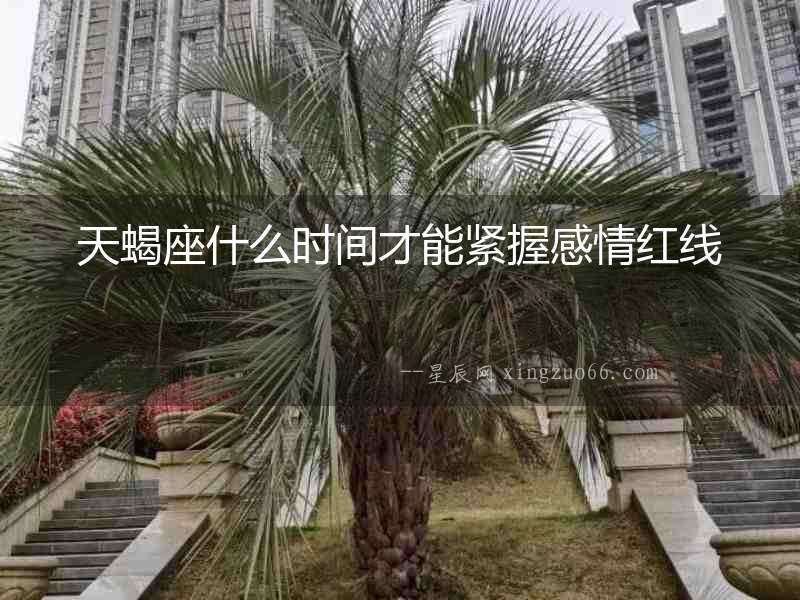 天蝎座什么時(shí)間才能緊握感情紅線