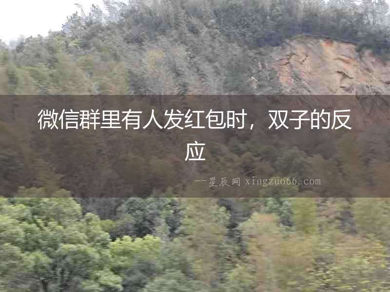 微信群里有人發紅包時，雙子的反應