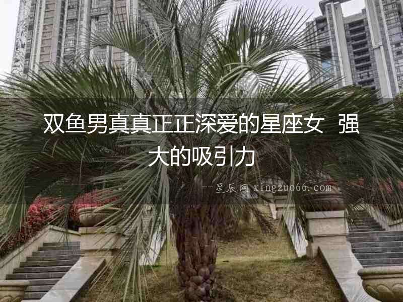 雙魚男真真正正深愛的星座女  強(qiáng)大的吸引力
