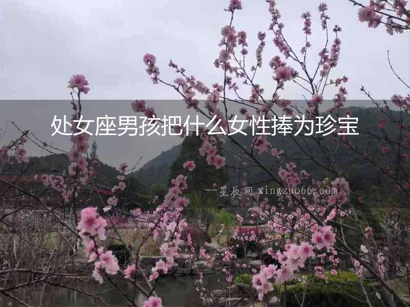 處女座男孩把什么女性捧為珍寶
