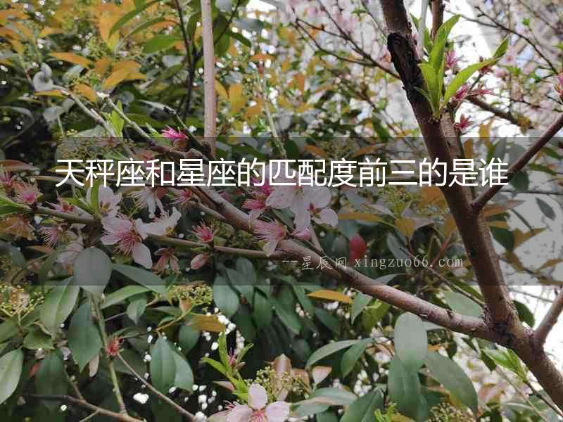 天秤座和星座的匹配度前三的是誰