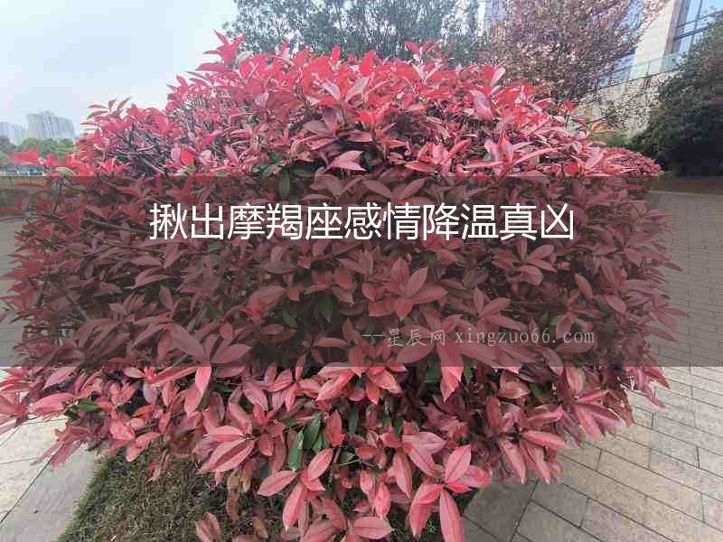 揪出摩羯座感情降溫真兇