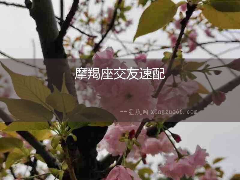 摩羯座交友速配