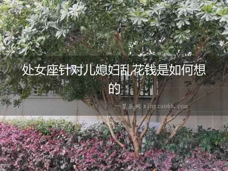 處女座針對兒媳婦亂花錢是如何想的