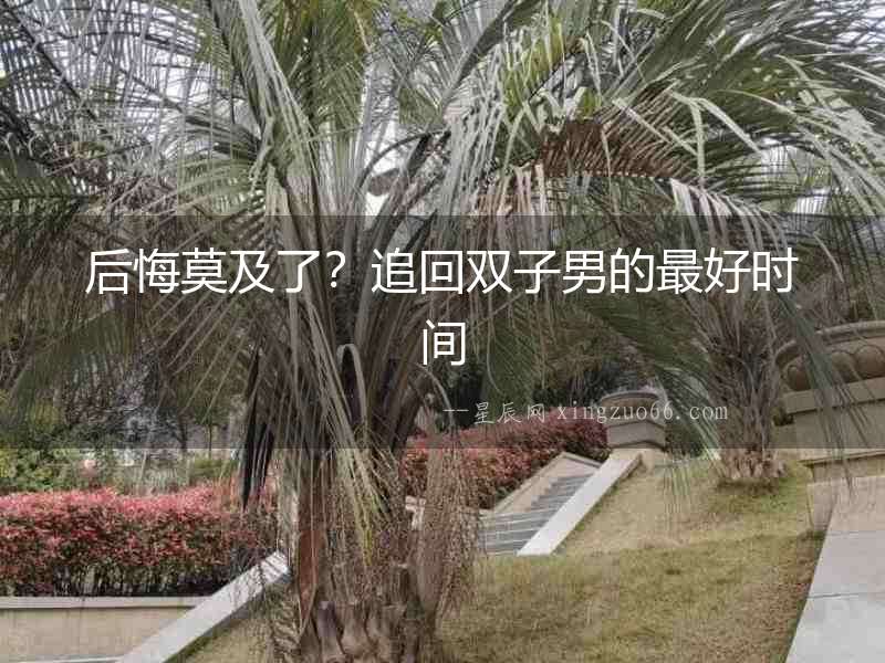 后悔莫及了？追回雙子男的最好時間