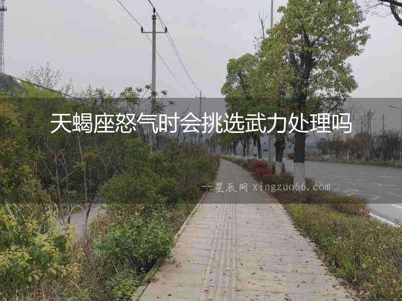 天蝎座怒氣時(shí)會(huì)挑選武力處理嗎
