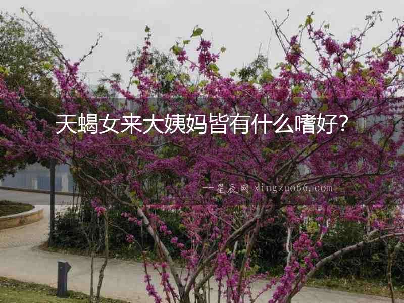 天蝎女來大姨媽皆有什么嗜好？