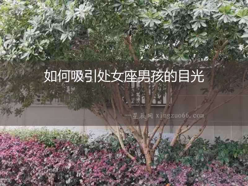 如何吸引處女座男孩的目光