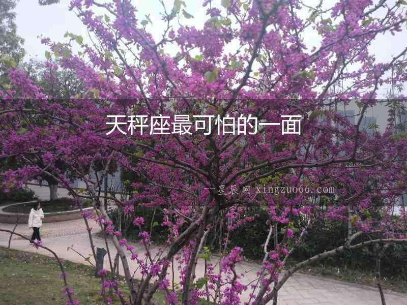 天秤座最可怕的一面