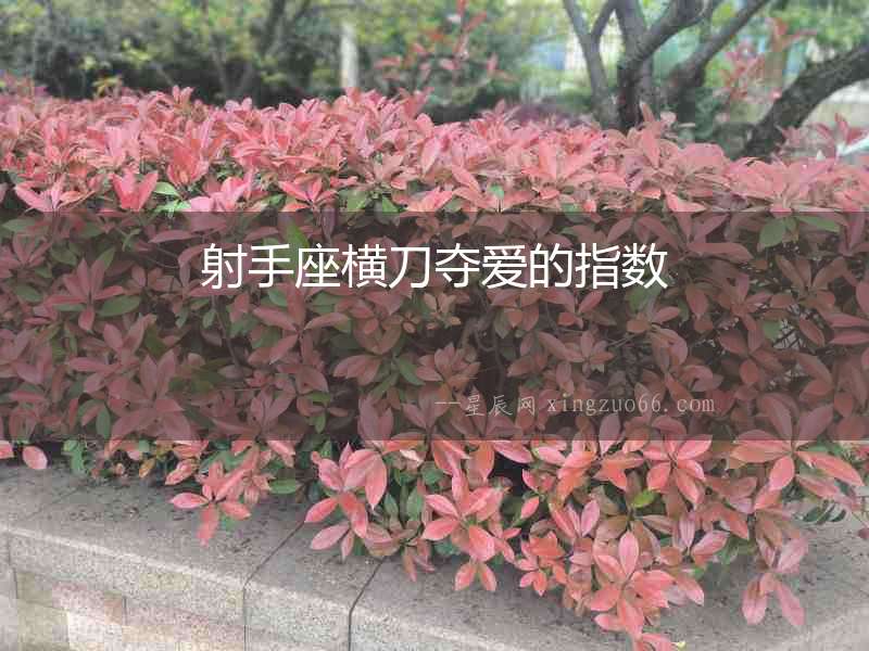 射手座橫刀奪愛的指數