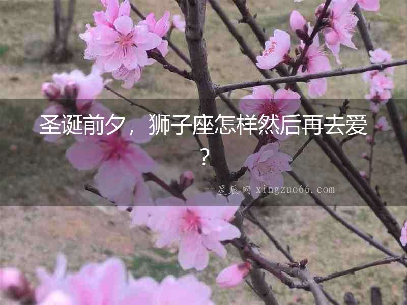 圣誕前夕，獅子座怎樣然后再去愛？