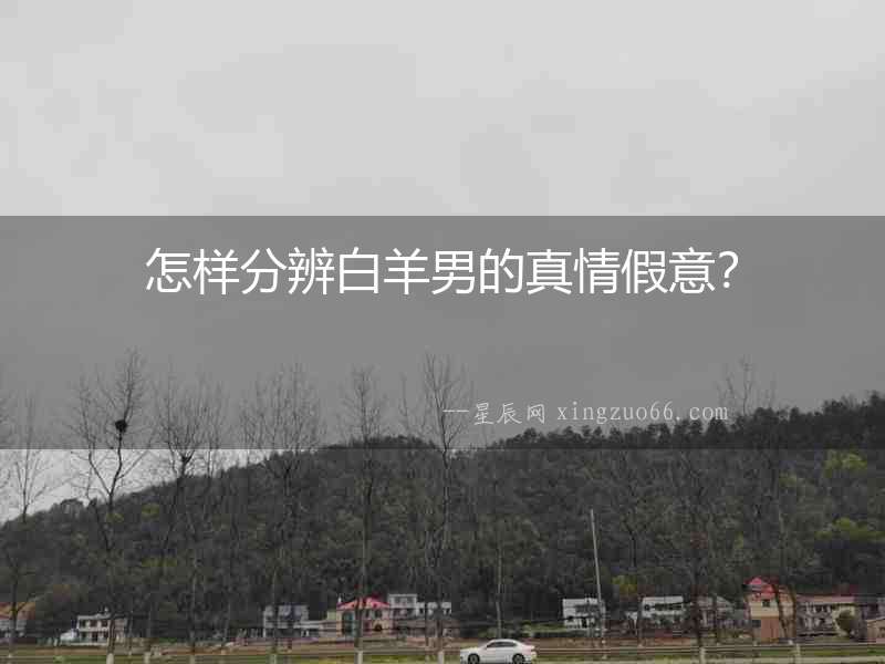 怎樣分辨白羊男的真情假意？