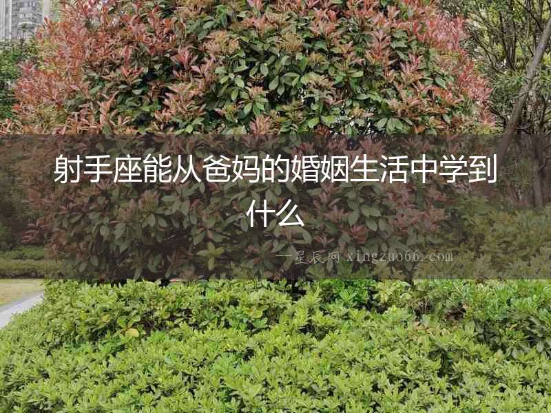 射手座能從爸媽的婚姻生活中學到什么