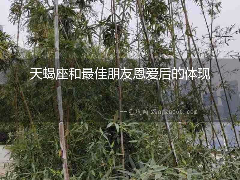 天蝎座和最佳朋友恩愛(ài)后的體現(xiàn)