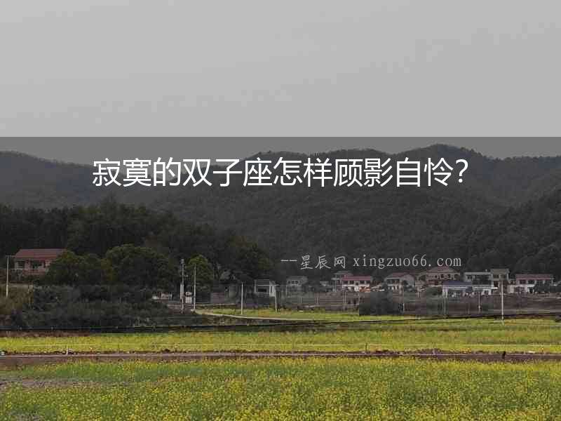 寂寞的雙子座怎樣顧影自憐？