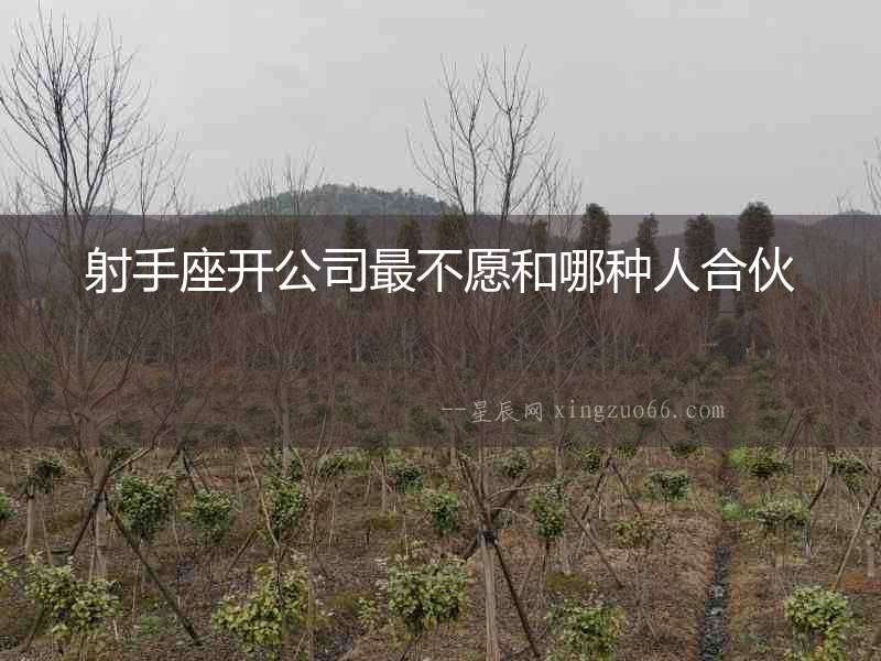 射手座開公司最不愿和哪種人合伙