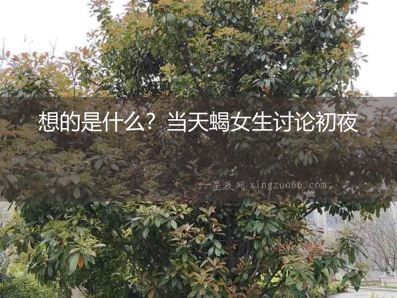 想的是什么？當(dāng)天蝎女生討論初夜