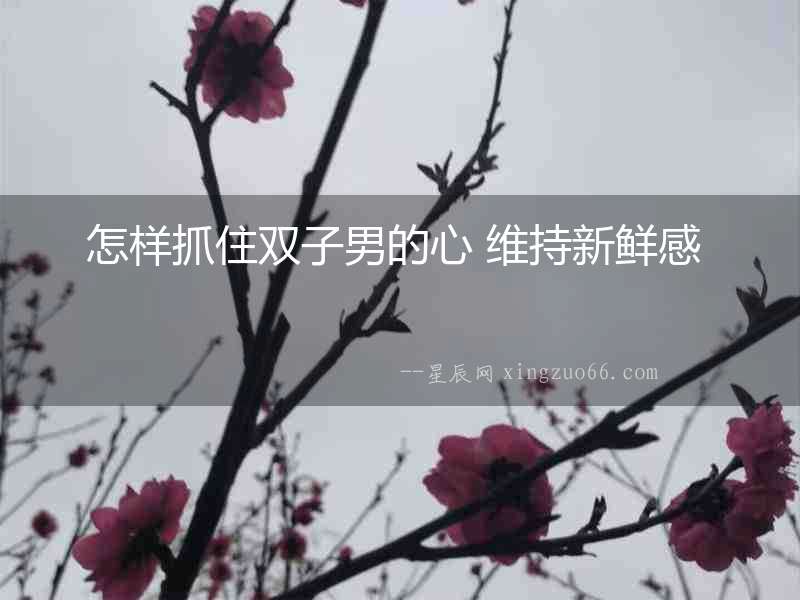 怎樣抓住雙子男的心 維持新鮮感  　　