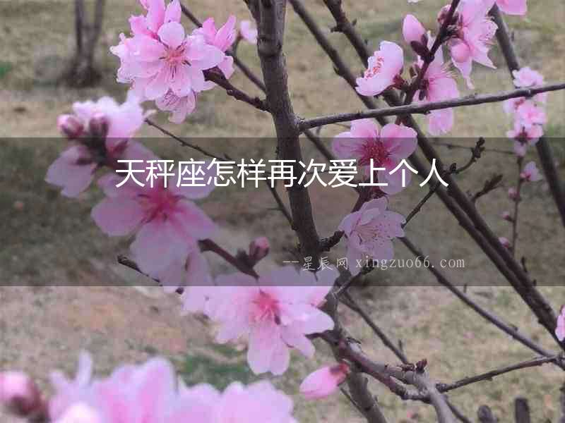 天秤座怎樣再次愛上個人