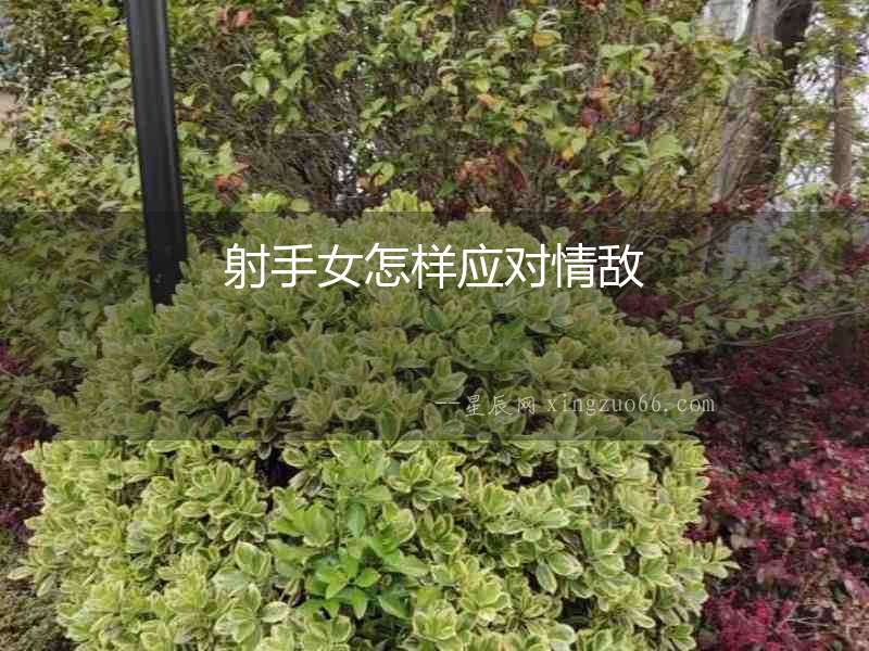 射手女怎樣應對情敵