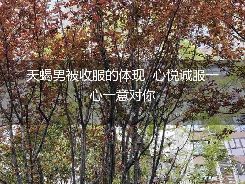 天蝎男被收服的體現  心悅誠服一心一意對你