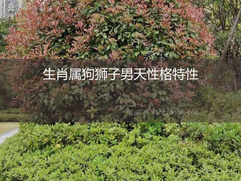 生肖屬狗獅子男天性格特性
