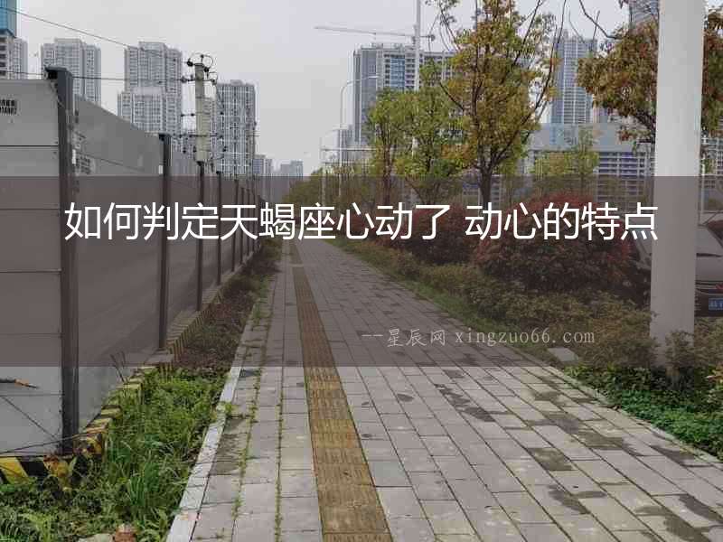 如何判定天蝎座心動了 動心的特點