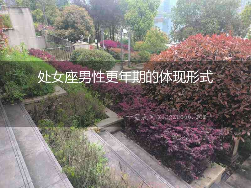 處女座男性更年期的體現形式