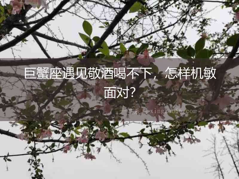 巨蟹座遇見敬酒喝不下，怎樣機敏面對？