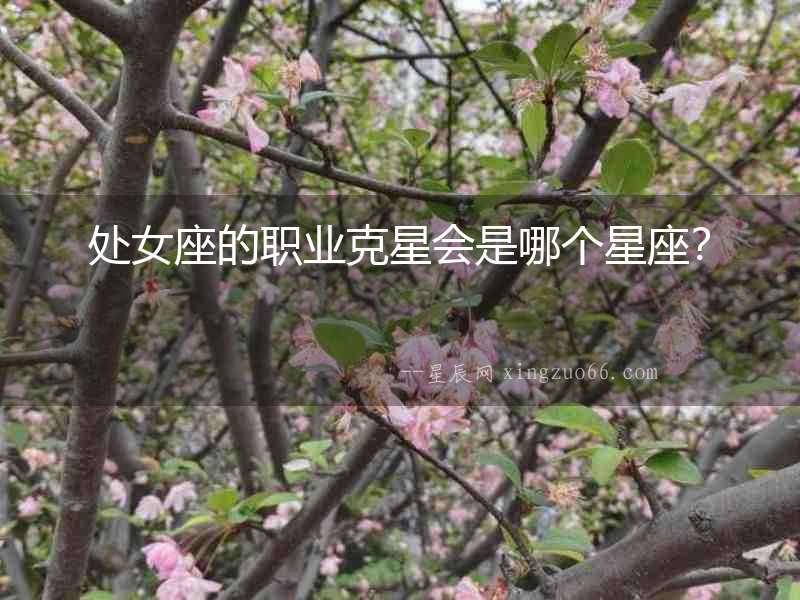 處女座的職業(yè)克星會(huì)是哪個(gè)星座？