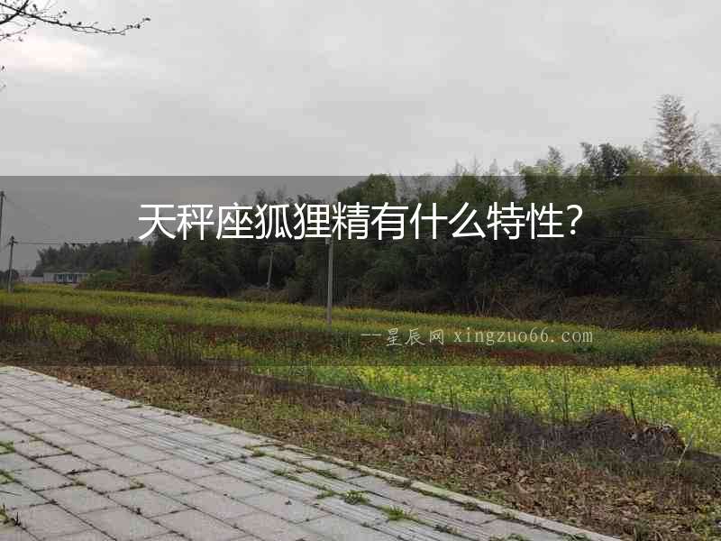 天秤座狐貍精有什么特性？