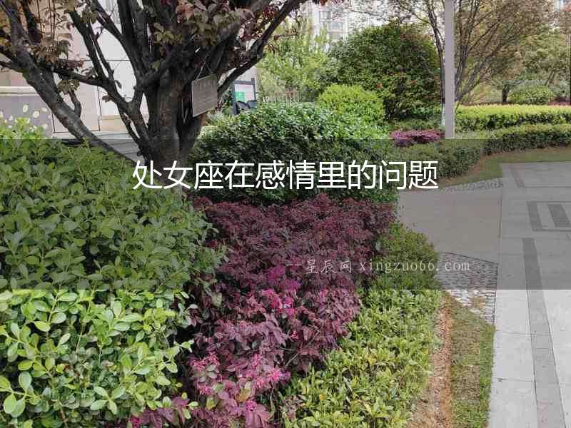 處女座在感情里的問題