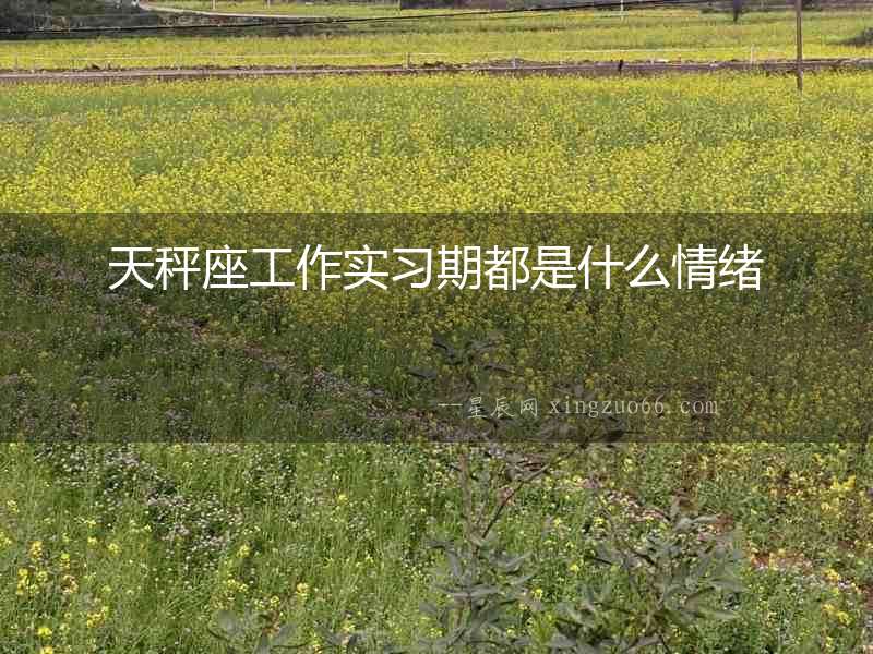天秤座工作實習期都是什么情緒