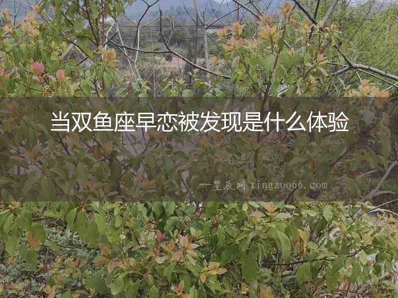 當(dāng)雙魚座早戀被發(fā)現(xiàn)是什么體驗(yàn)