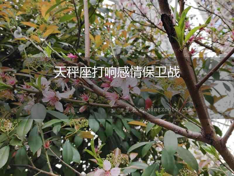 天秤座打響感情保衛戰